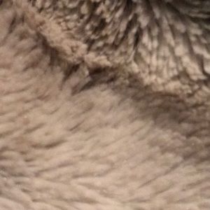 Meet your Posher, Carolyn